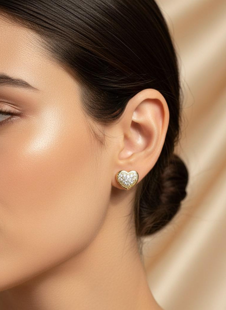 BOUCLES D'OREILLES PENDANTES EN ACIER INOXYDABLE 316 L (B95)