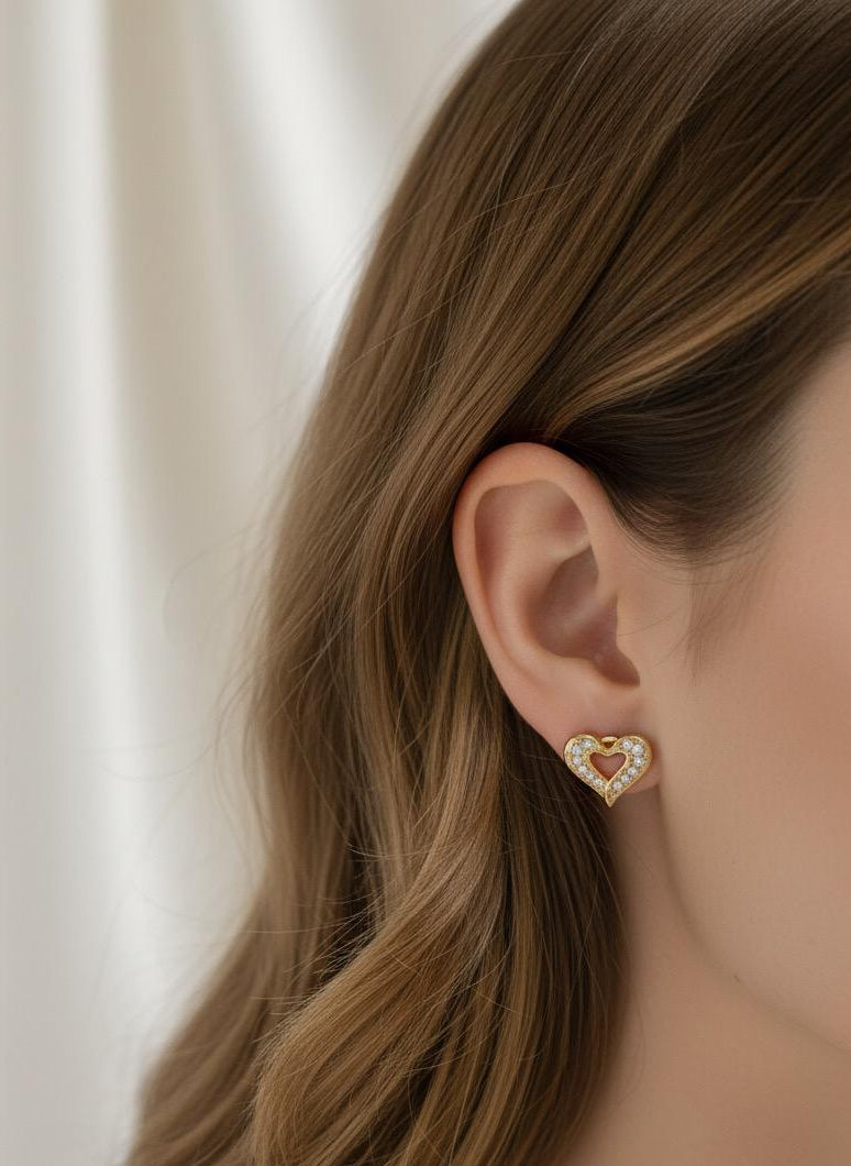 BOUCLES D'OREILLES PENDANTES EN ACIER INOXYDABLE 316 L (B97)