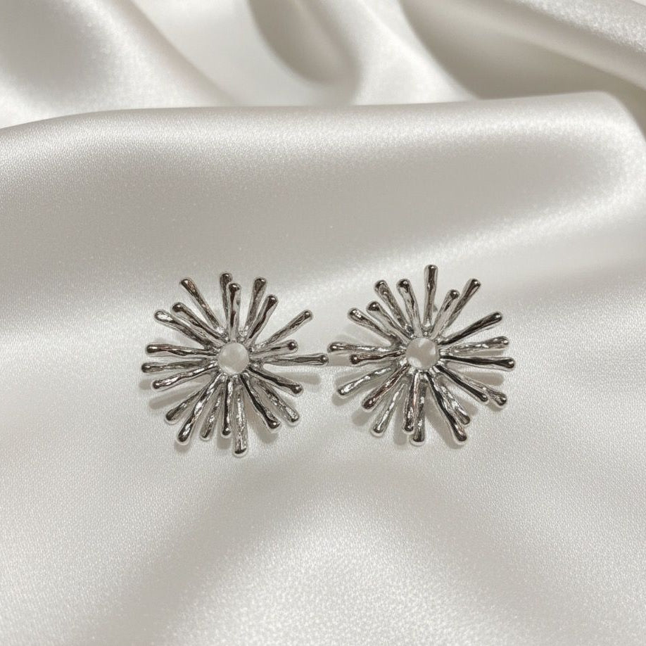 BOUCLES D'OREILLES EN ACIER INOXYDABLE 316L (B22)