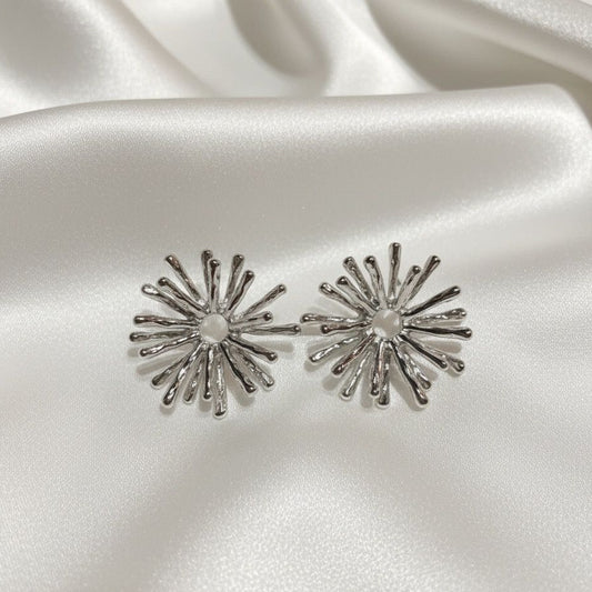 BOUCLES D'OREILLES EN ACIER INOXYDABLE 316L (B22)