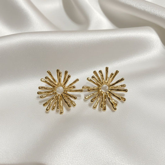 BOUCLES D'OREILLES EN ACIER INOXYDABLE 316L (B23)