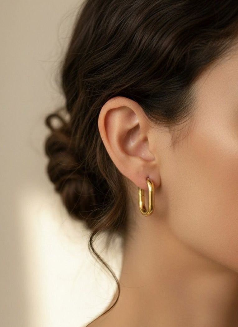 BOUCLES D'OREILLES EN ACIER INOXYDABLE 316L (B33)