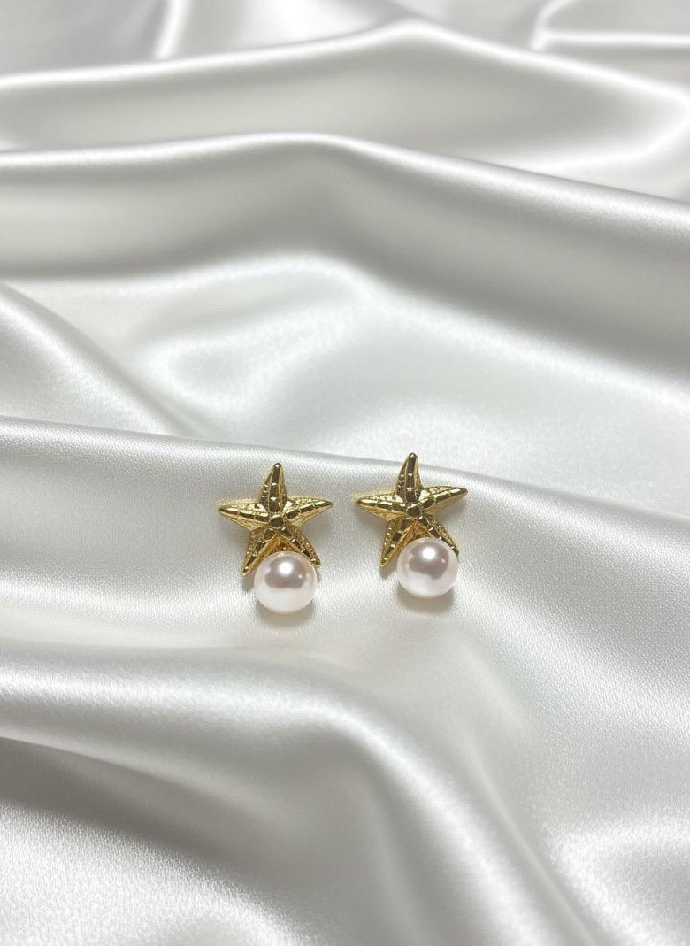 BOUCLES D'OREILLES PENDANTES EN ACIER INOXYDABLE 316 L (B62)