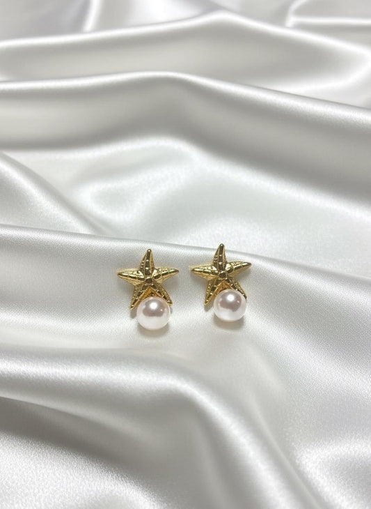 BOUCLES D'OREILLES PENDANTES EN ACIER INOXYDABLE 316 L (B62)