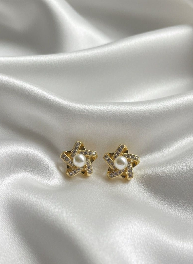 BOUCLES D'OREILLES PENDANTES EN ACIER INOXYDABLE 316 L (B65)