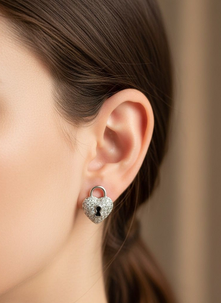 BOUCLES D'OREILLES PENDANTES EN ACIER INOXYDABLE 316 L (B67)