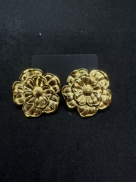 Boucles d'oreilles Femme En Acier inoxydable