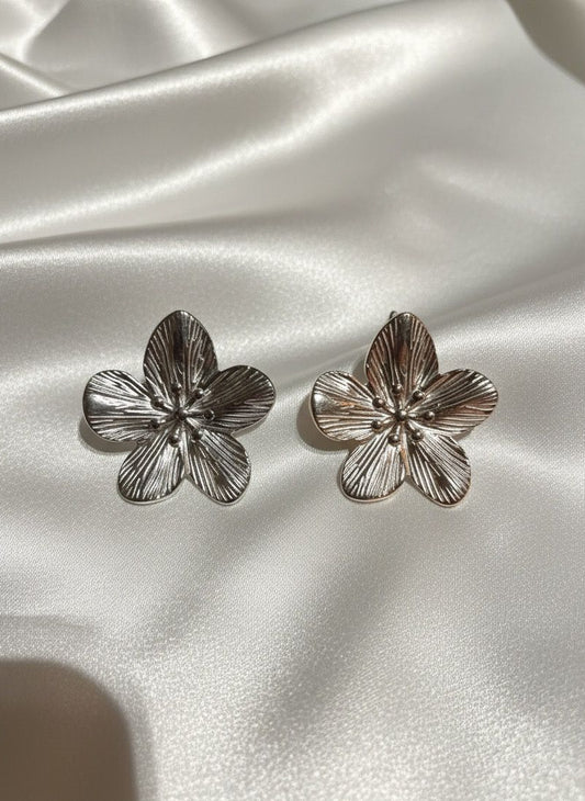 BOUCLES D'OREILLES EN ACIER INOXYDABLE 316L (B20)