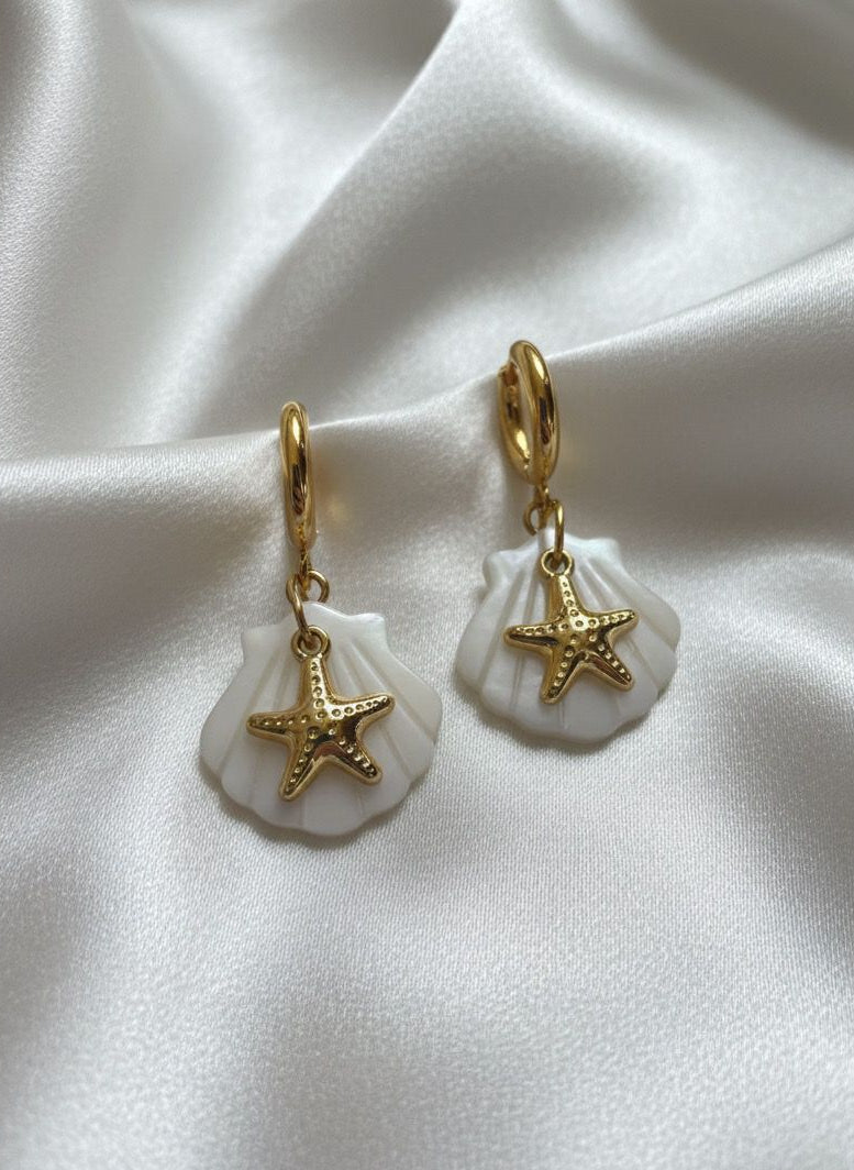 BOUCLES D'OREILLES  EN ACIER INOXYDABLE 316L (B8)