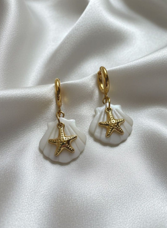 BOUCLES D'OREILLES  EN ACIER INOXYDABLE 316L (B8)