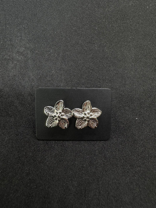 Boucles d'Oreilles Femme En Acier Inoxydable