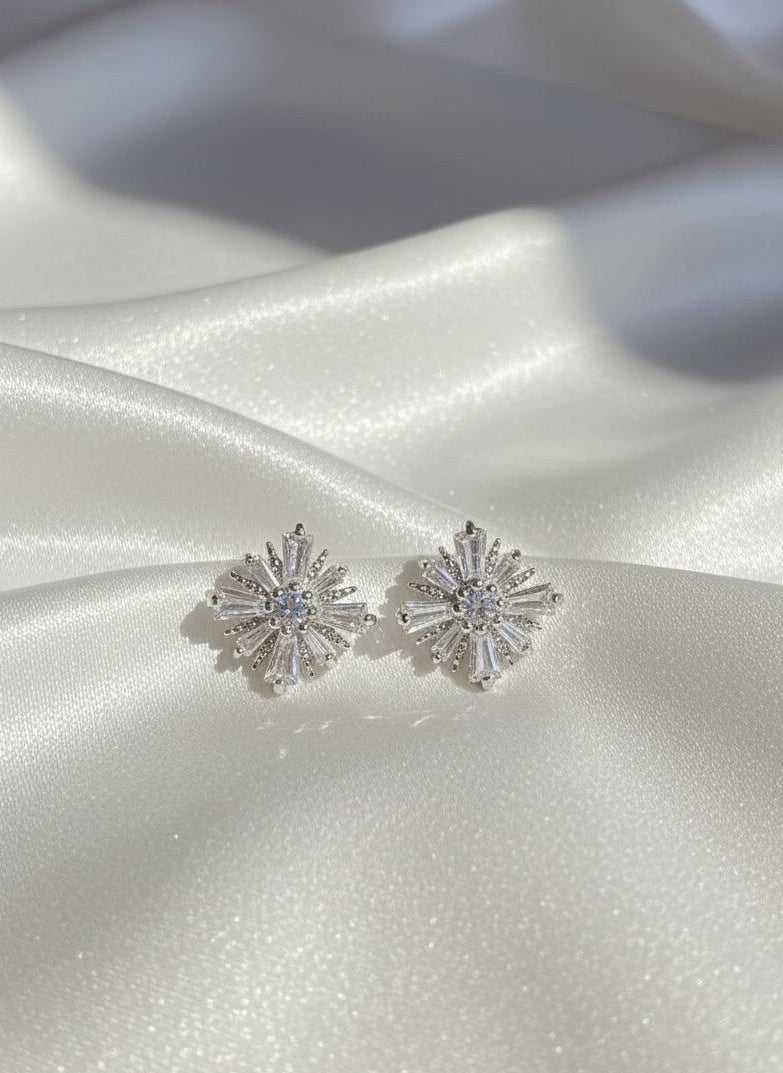 BOUCLES D'OREILLES PENDANTES EN ACIER INOXYDABLE 316 L (B75)