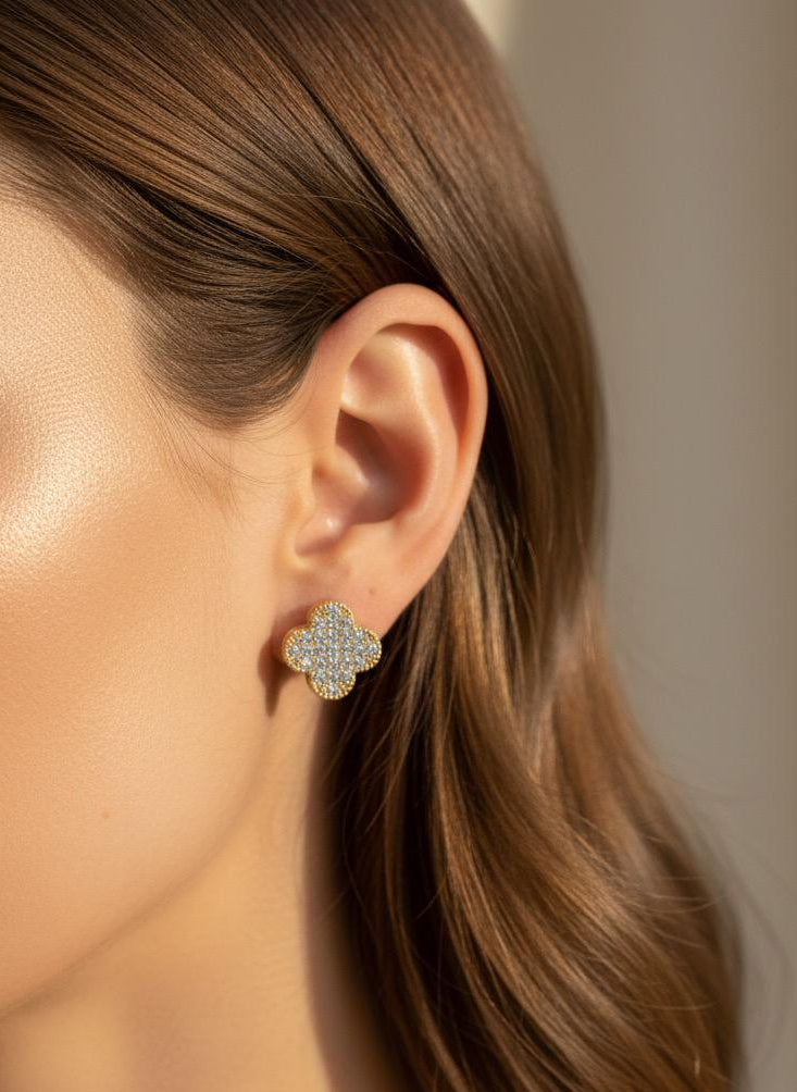 BOUCLES D'OREILLES PENDANTES EN ACIER INOXYDABLE 316 L (B81)