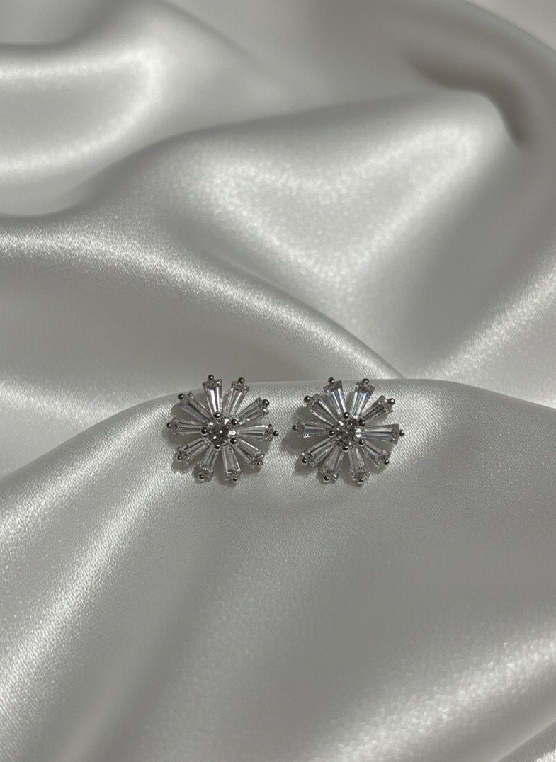 BOUCLES D'OREILLES PENDANTES EN ACIER INOXYDABLE 316 L (B91)