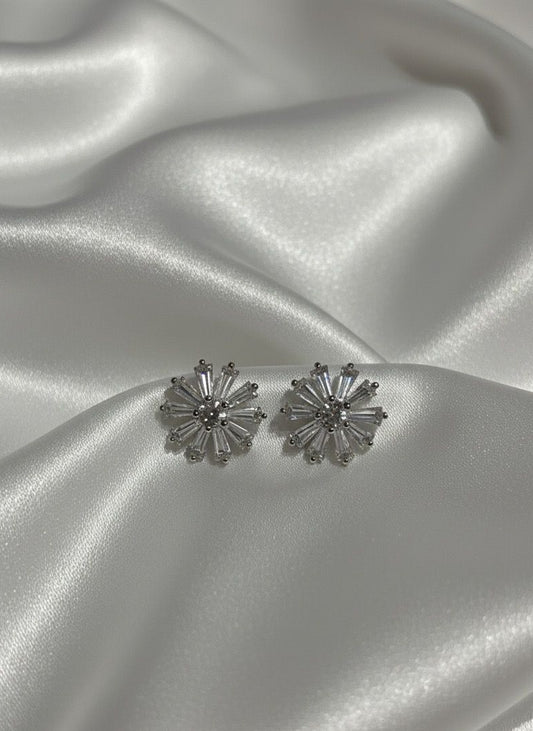 BOUCLES D'OREILLES PENDANTES EN ACIER INOXYDABLE 316 L (B91)