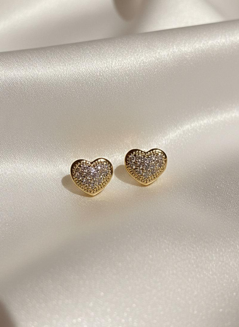 BOUCLES D'OREILLES PENDANTES EN ACIER INOXYDABLE 316 L (B95)