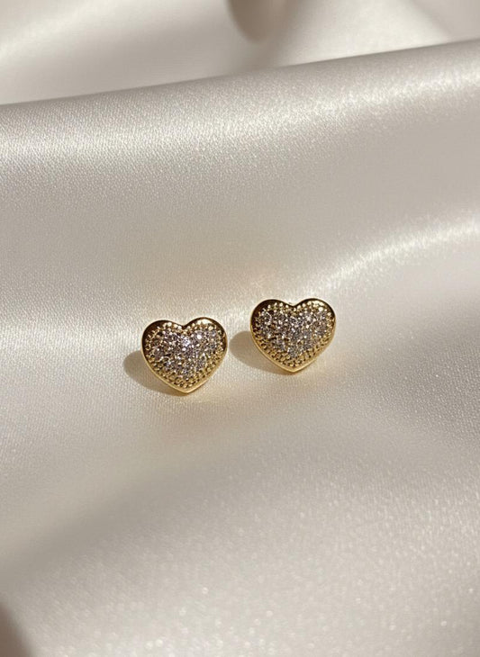 BOUCLES D'OREILLES PENDANTES EN ACIER INOXYDABLE 316 L (B95)