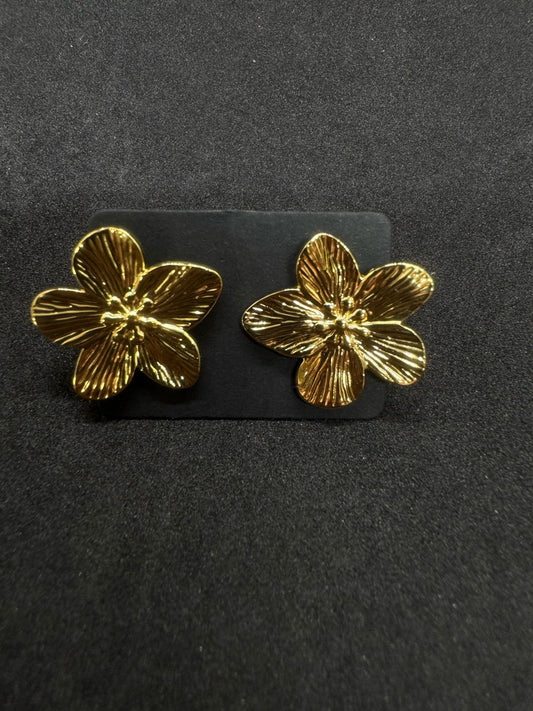 Boucles d'oreilles Femme En Acier Inoxydable