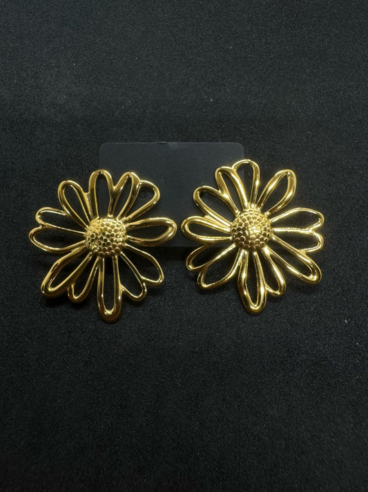 Boucles d'oreilles Femme En Acier Inoxydable